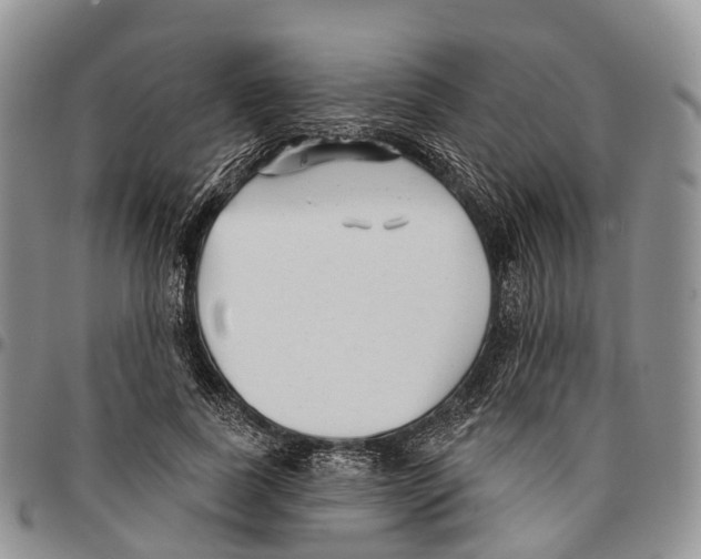 X0000096710739200803041340