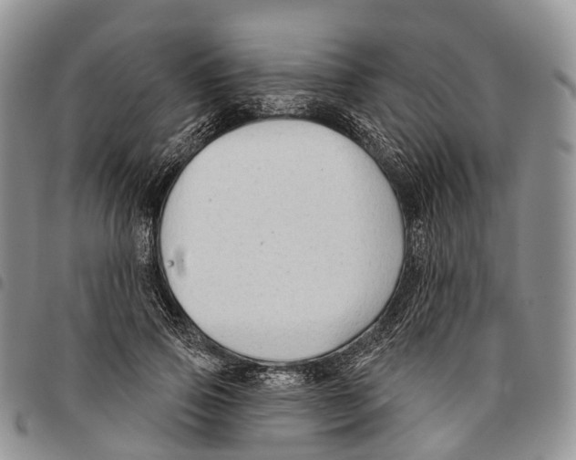 X0000096710741200803041340