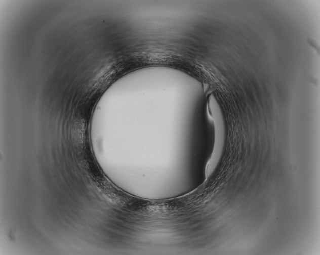 X0000096710744200803041340