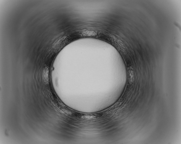 X0000096710745200803041340