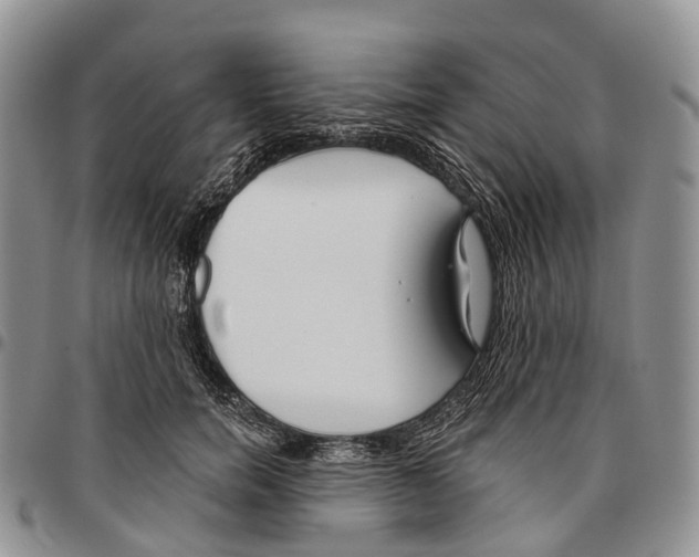 X0000096710750200803041340