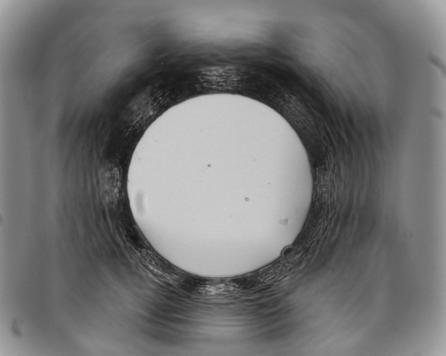 X0000096710752200803041341