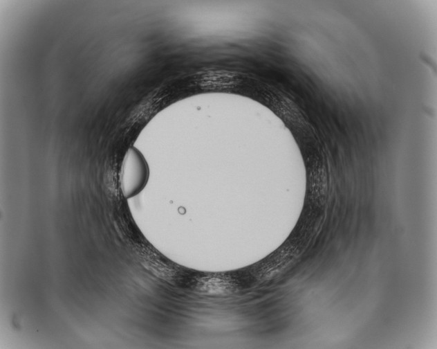 X0000096710755200803041341