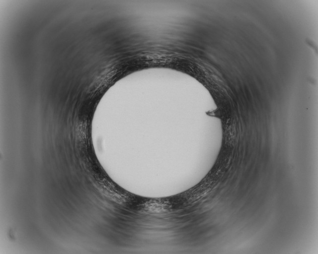 X0000096710756200803041341