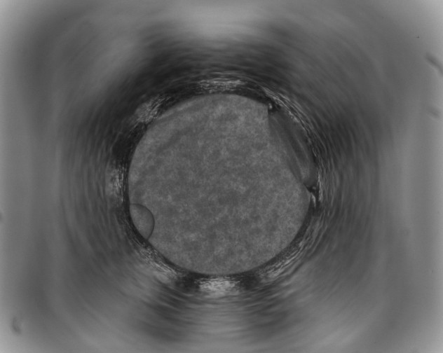 X0000096710759200803041341