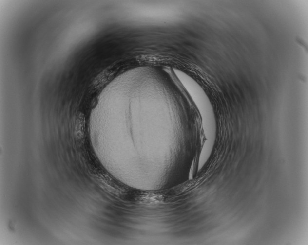 X0000096710760200803041341