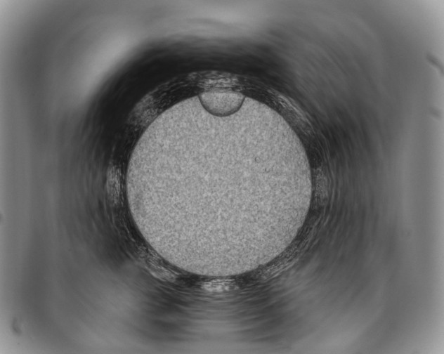 X0000096710761200803041341