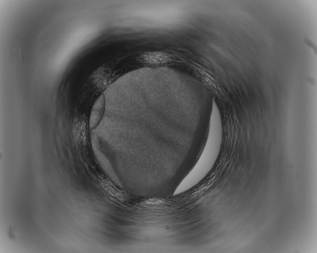 X0000096710762200803041341