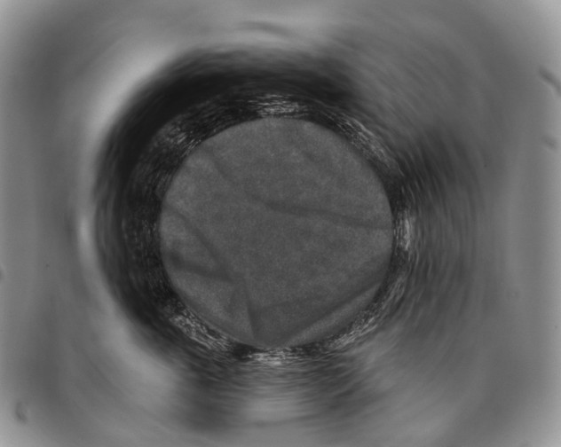 X0000096710763200803041341