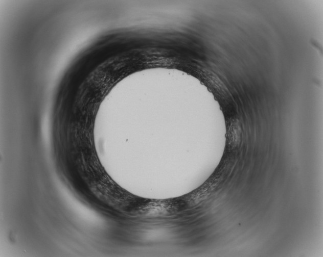 X0000096710764200803041341