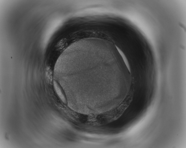 X0000096710766200803041341