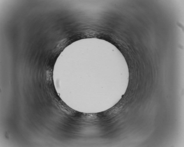 X0000096710768200803041341