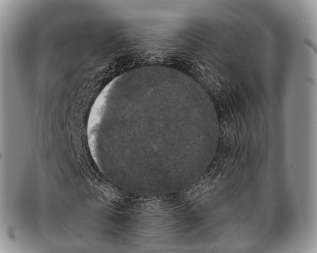 X0000096710769200803041340