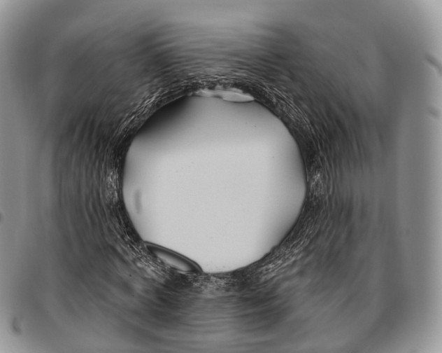 X0000096710772200803041340