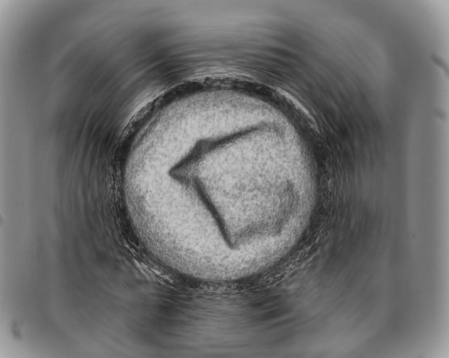 X0000096710775200803041340