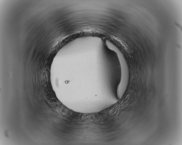 X0000096710776200803041340