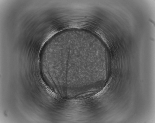 X0000096710779200803041340