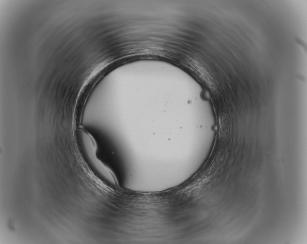 X0000096710780200803041340