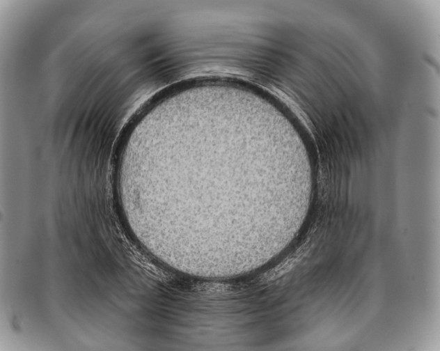 X0000096710783200803041340