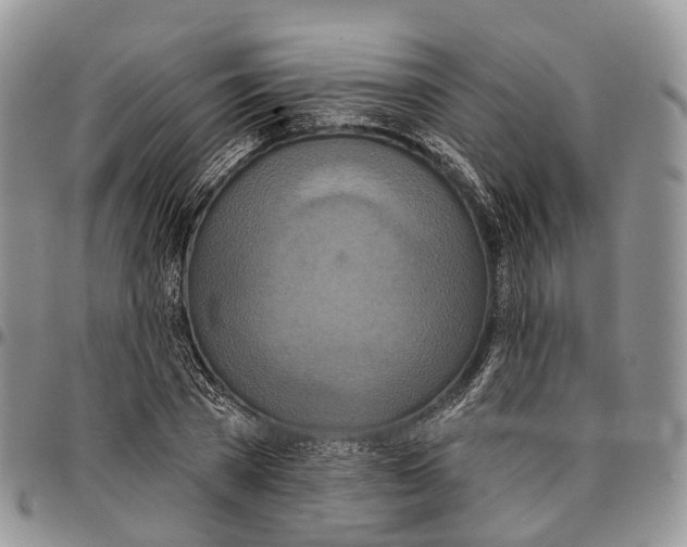 X0000096710785200803041340