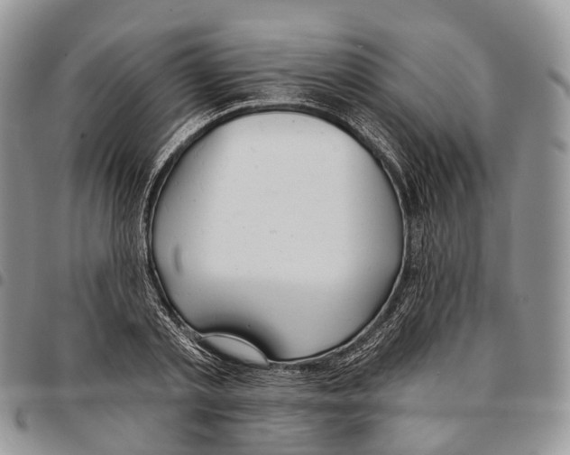 X0000096710789200803041340