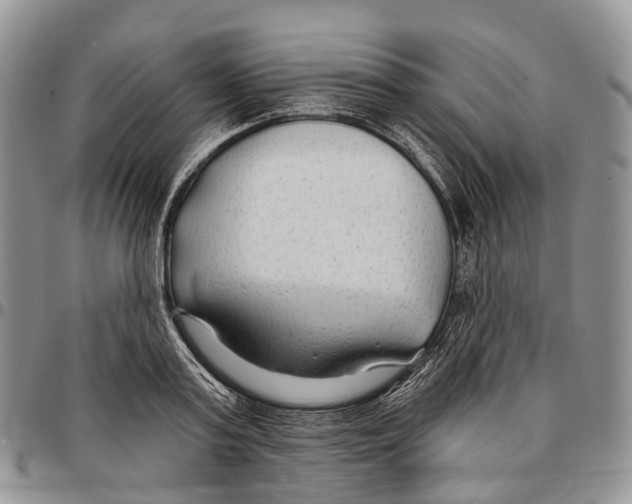 X0000096710795200803041340