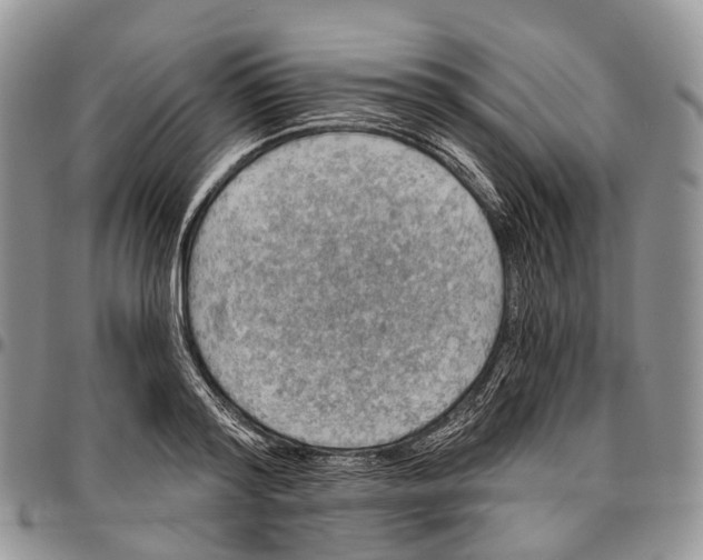 X0000096710796200803041340