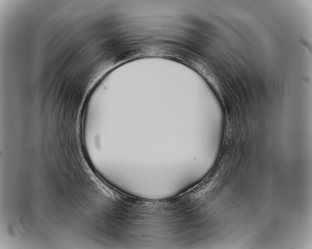 X0000096710803200803041340