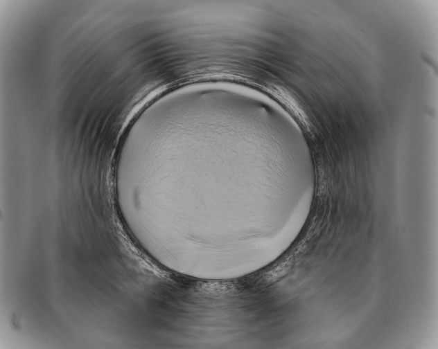 X0000096710806200803041340