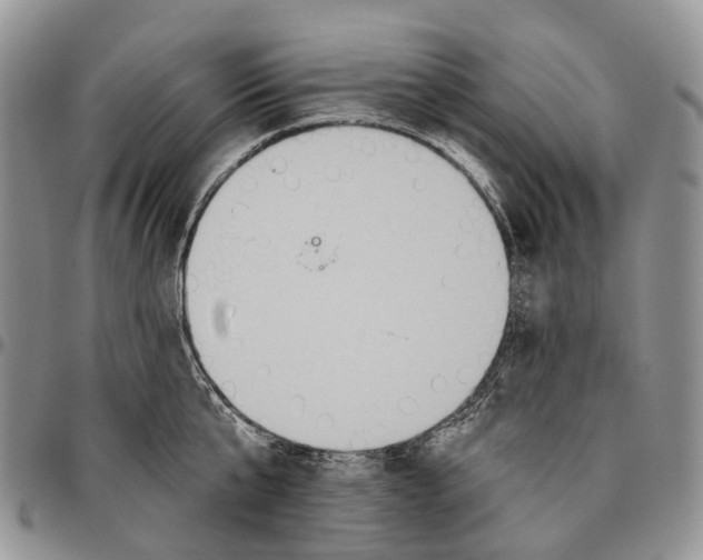 X0000096710807200803041340