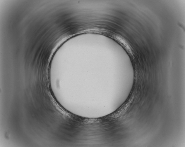 X0000096710808200803041339