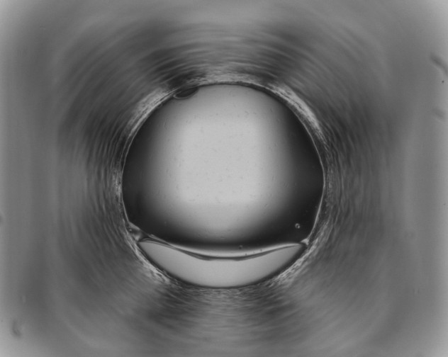 X0000096710809200803041339