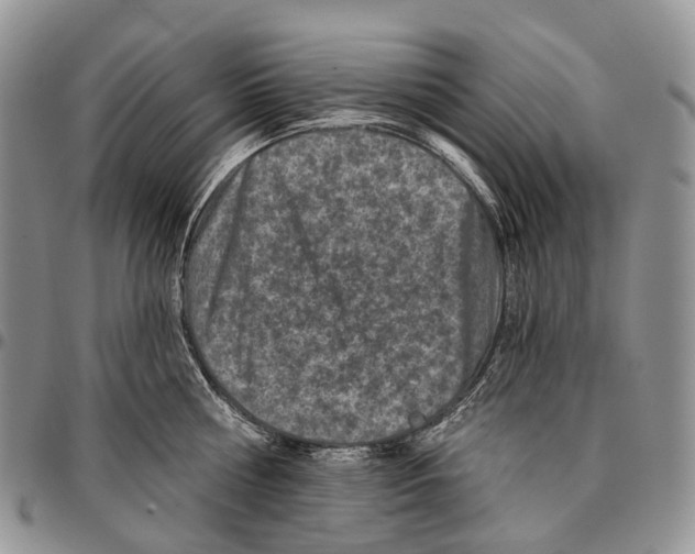 X0000096710810200803041339