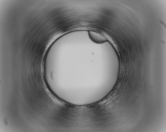 X0000096710811200803041339