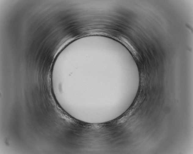 X0000096710814200803041339