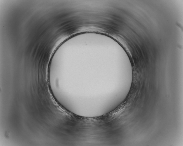 X0000096710815200803041339