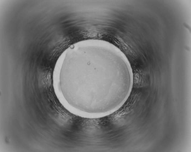 X0000096710820200803041339