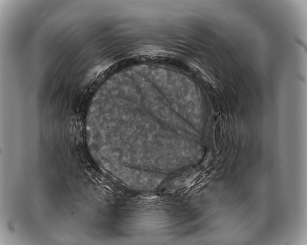 X0000096710822200803041339