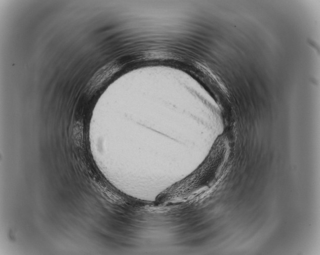 X0000096710825200803041339