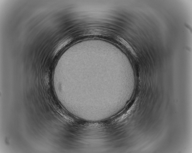 X0000096710826200803041339