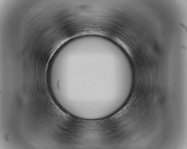 X0000096710828200803041339