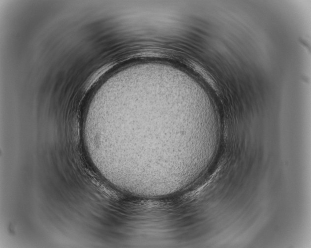 X0000096710829200803041339