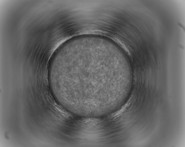 X0000096710830200803041339