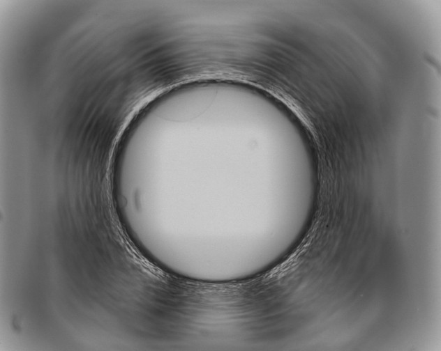 X0000096710832200803041339