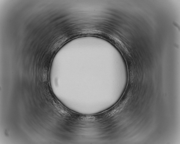 X0000096710833200803041339