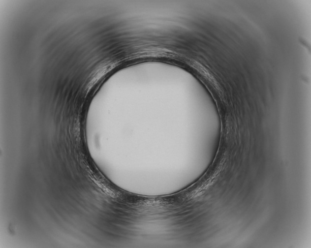 X0000096710834200803041339