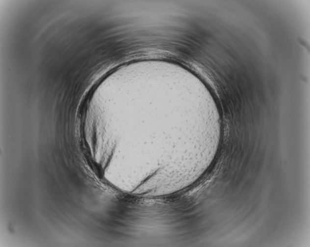 X0000096710835200803041339