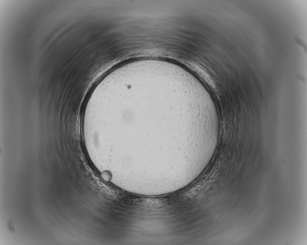 X0000096710839200803041339