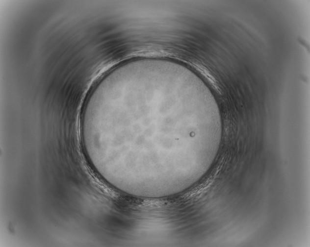 X0000096710840200803041339