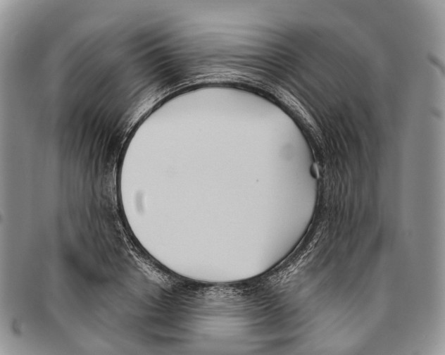 X0000096710842200803041339